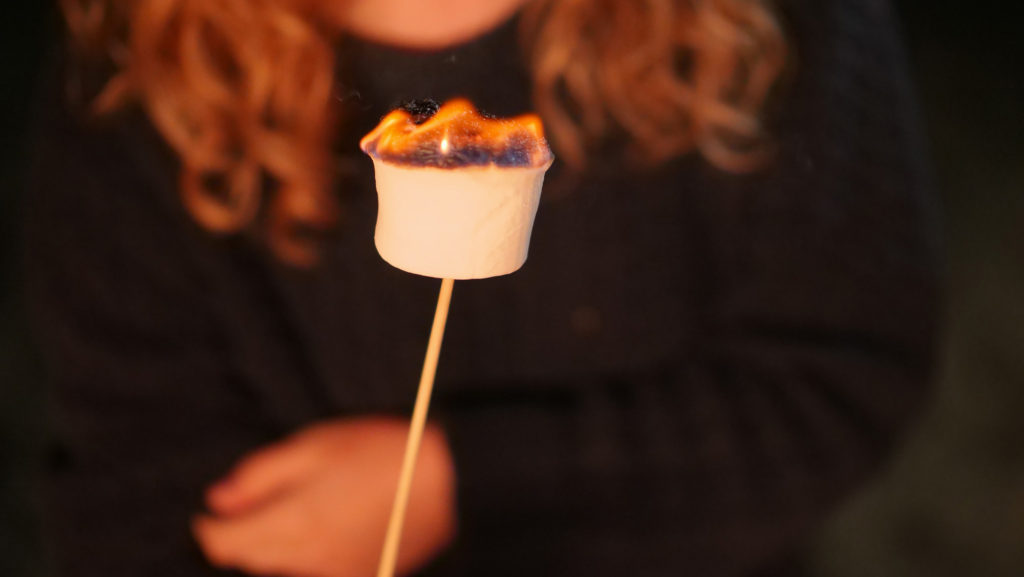 Photo of person holding a flaming marshmallow on a stick