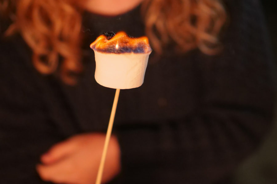 Photo of person holding a flaming marshmallow on a stick